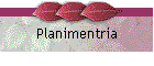 Planimentria